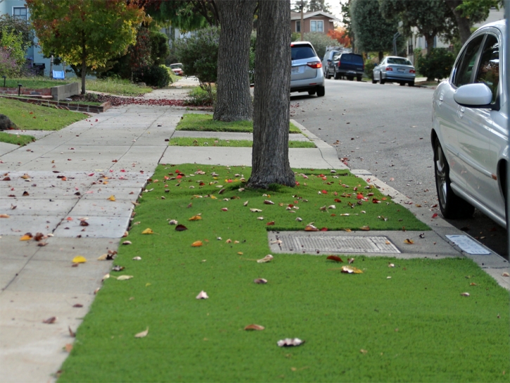 Synthetic Turf Rowland Heights, California Home And Garden, Front Yard Ideas