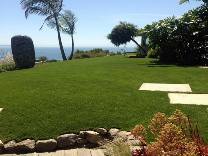 Synthetic Turf San Diego Country Estates, California Landscape Ideas, Commercial Landscape