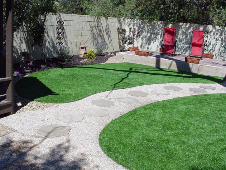 Synthetic Turf South San Gabriel, California Lawn And Garden, Backyard Ideas