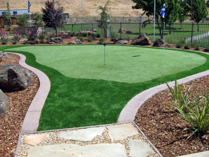 Synthetic Turf Supplier Hidden Hills, California Backyard Putting Green, Backyard Landscaping Ideas