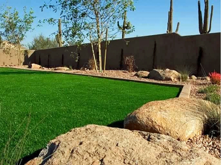 Synthetic Turf Supplier Indio Hills, California City Landscape, Backyard Makeover