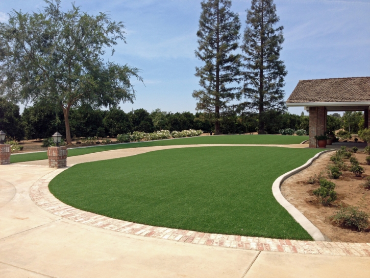 Synthetic Turf Supplier La Jolla, California Landscaping, Front Yard Ideas