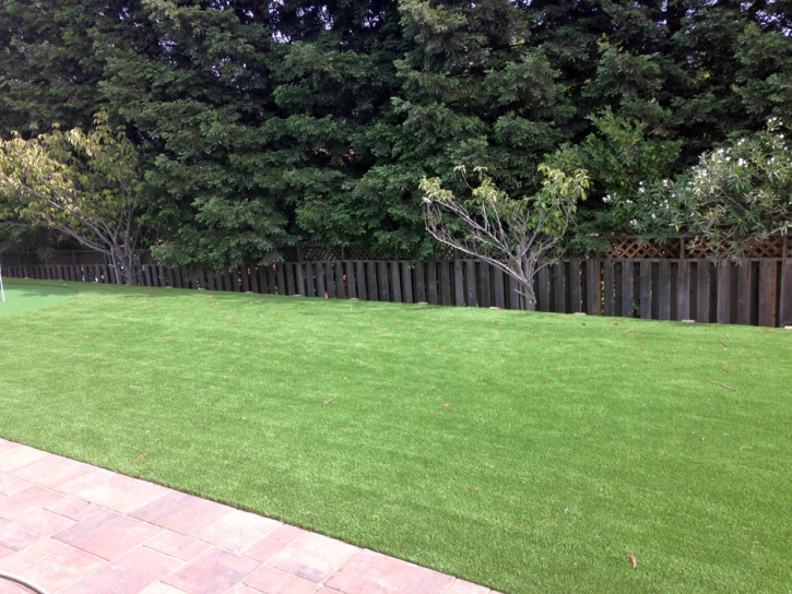 Synthetic Turf Supplier Lenwood, California Lawn And Landscape, Backyard Garden Ideas