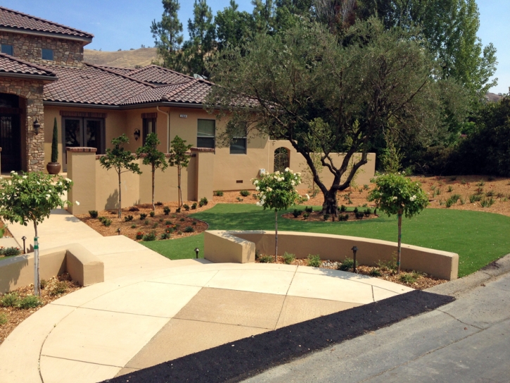 Synthetic Turf Supplier Lytle Creek, California Paver Patio, Front Yard Landscaping