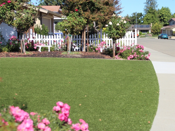 Synthetic Turf Vista Santa Rosa, California Landscape Ideas, Front Yard Landscaping Ideas