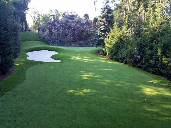 Turf Grass Buena Park, California Lawns, Commercial Landscape