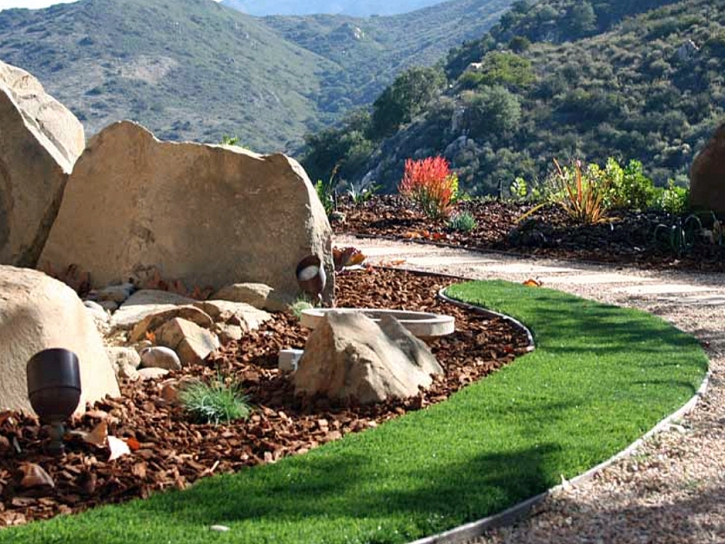 Turf Grass East Los Angeles, California Backyard Playground, Front Yard Landscaping Ideas