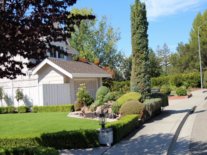 Turf Grass East Pasadena, California Rooftop, Front Yard Landscaping