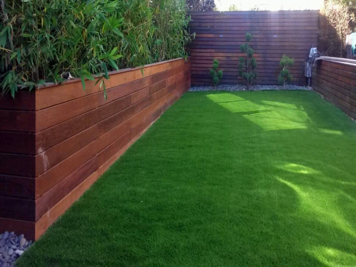 Turf Grass Hawthorne, California Landscape Design, Backyards