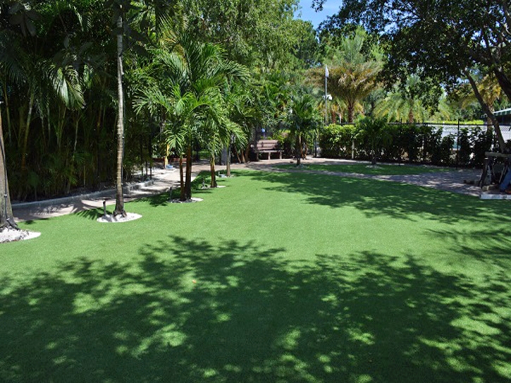 Turf Grass Long Beach, California Landscape Rock, Commercial Landscape